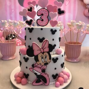 Fake Minnie Cake